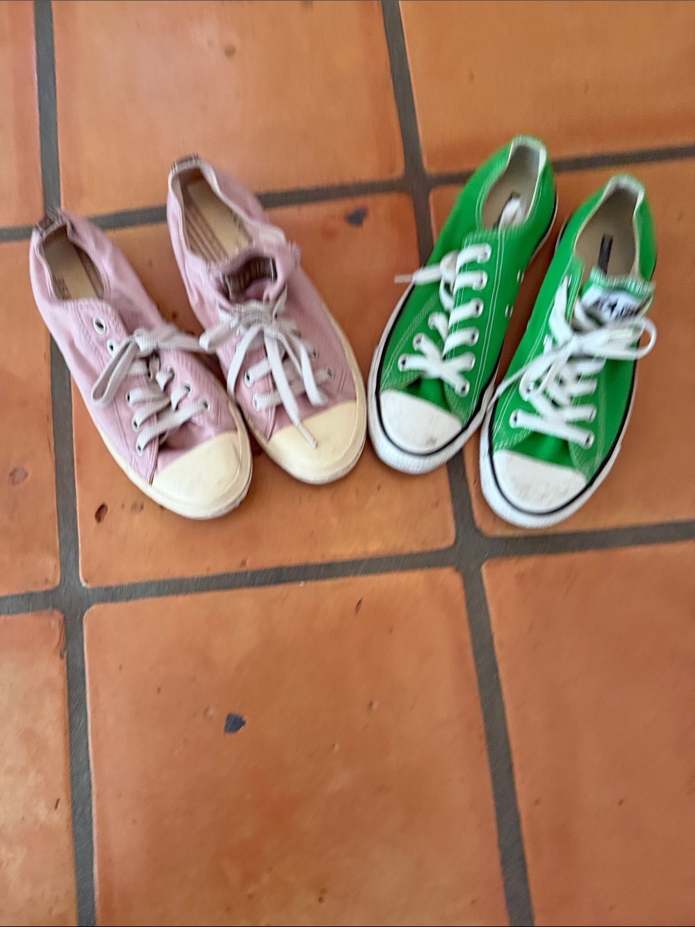 Converse Low-Top Canvas Sneakers in Pink and Green
